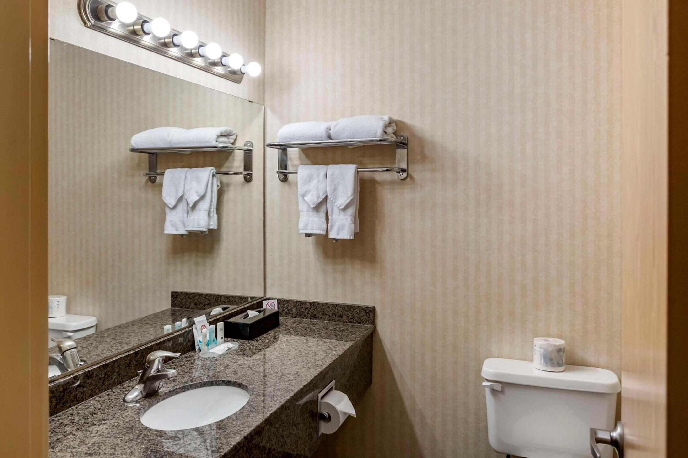 Leduc Vacations - Quality Inn  Suites Edmonton International Airport - Property Image 12