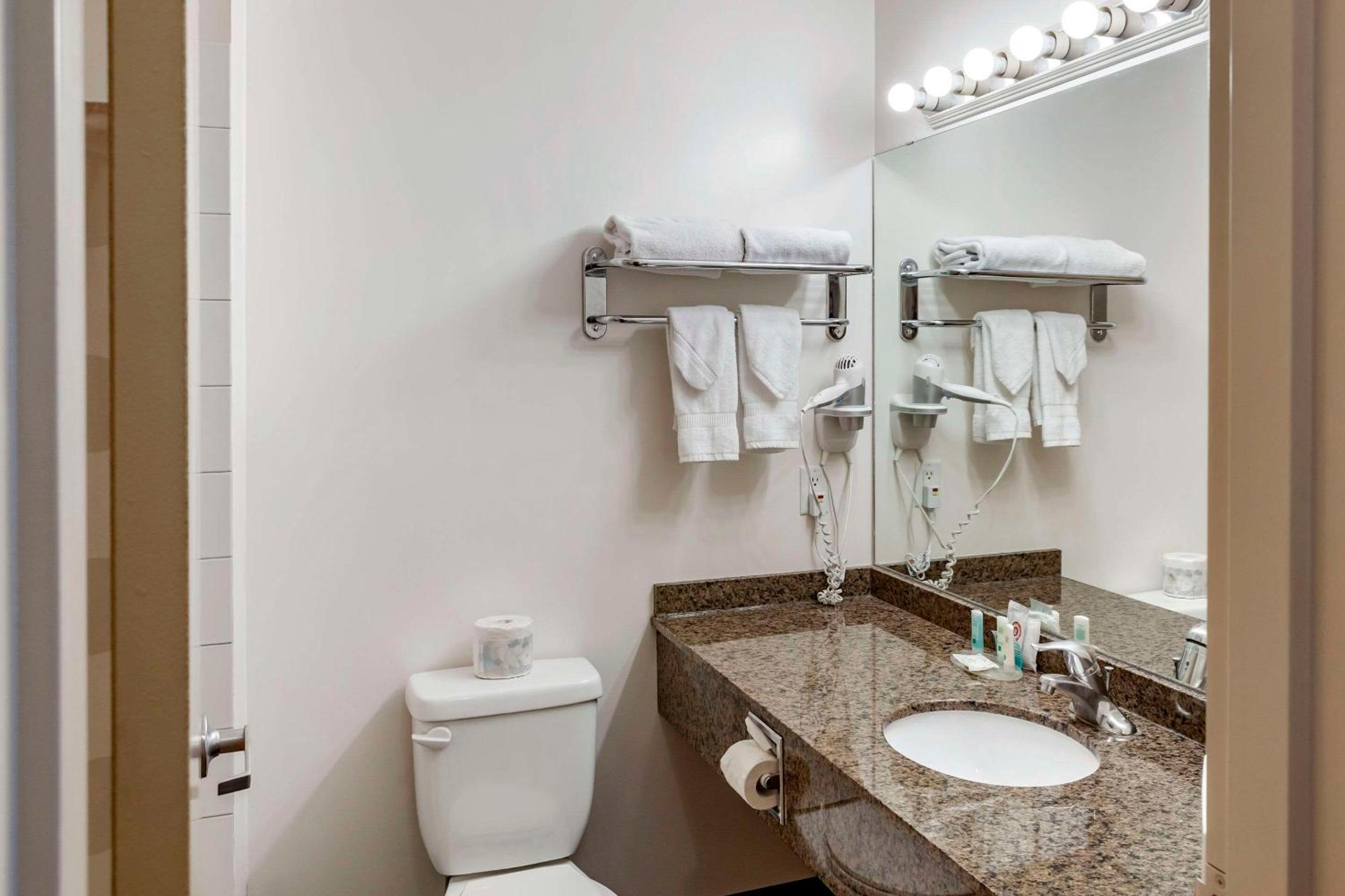 Leduc Vacations - Quality Inn  Suites Edmonton International Airport - Property Image 2