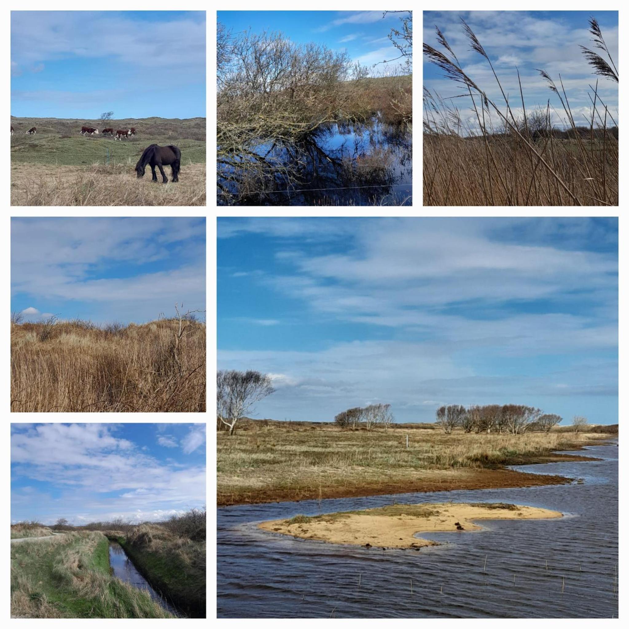 Geertje