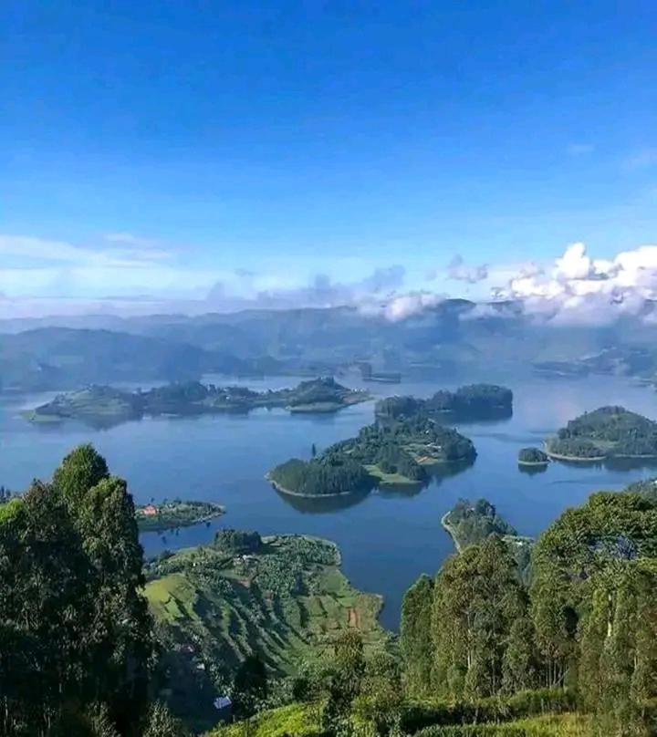 Jay's view 5
