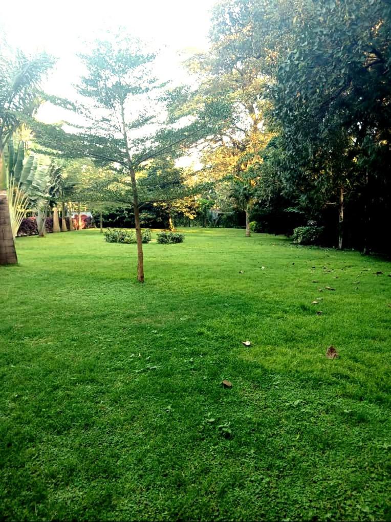 Hotel property for rent -Arusha view 4