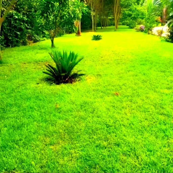 Hotel property for rent -Arusha view 5