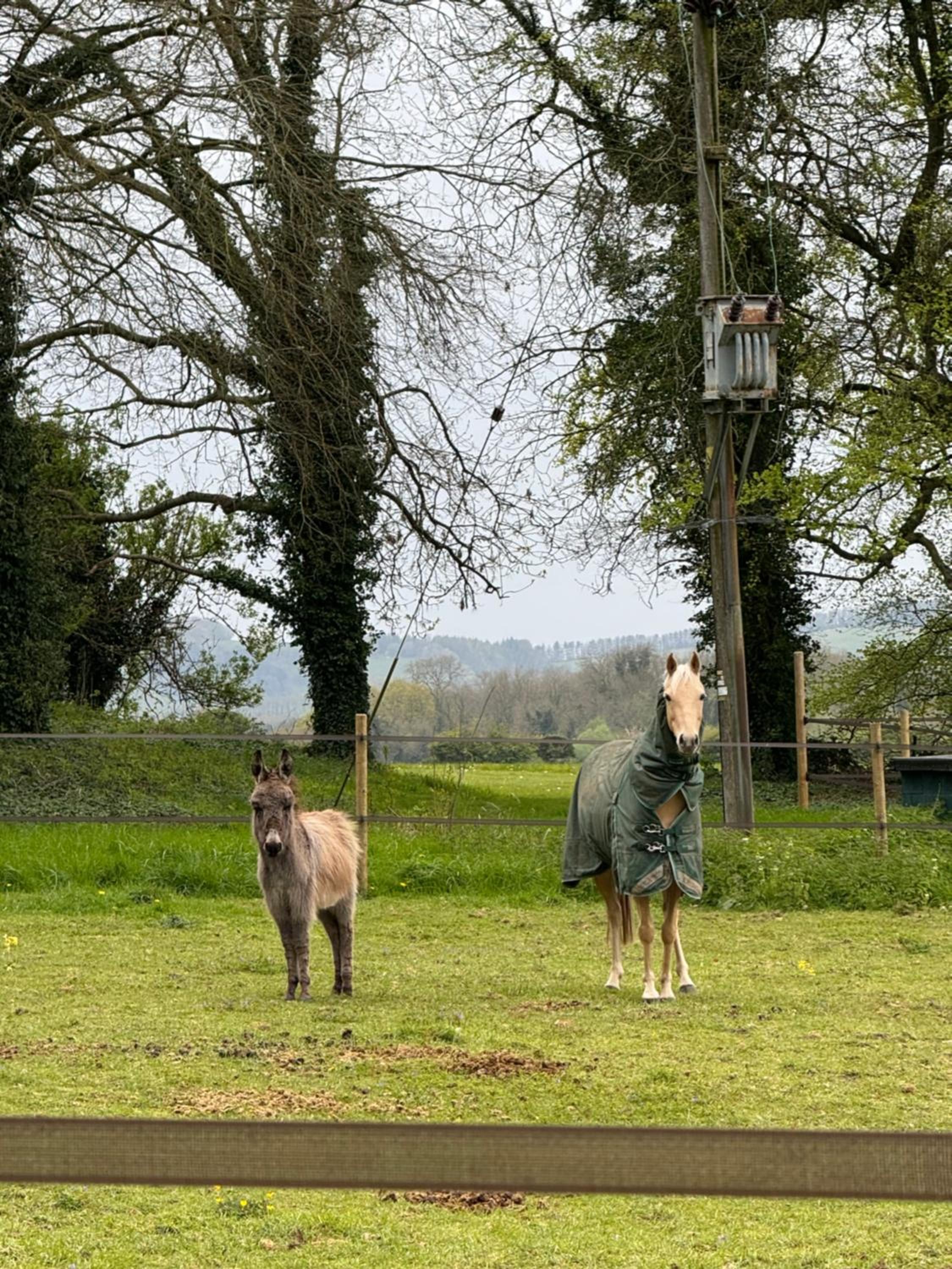 The Stud House at Danebury