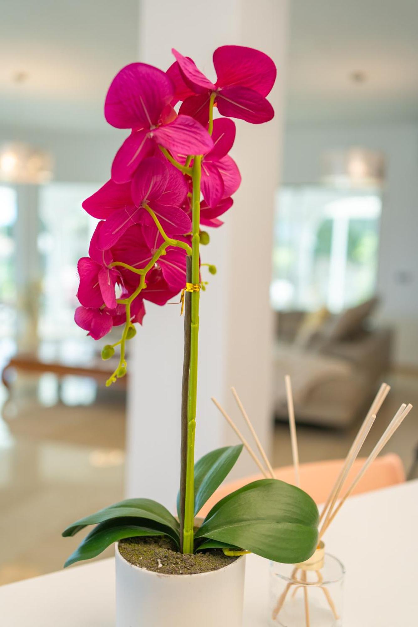 Villa Vista Verde Mijas Golf - Luxury with Optional heated pool & jacuzzi