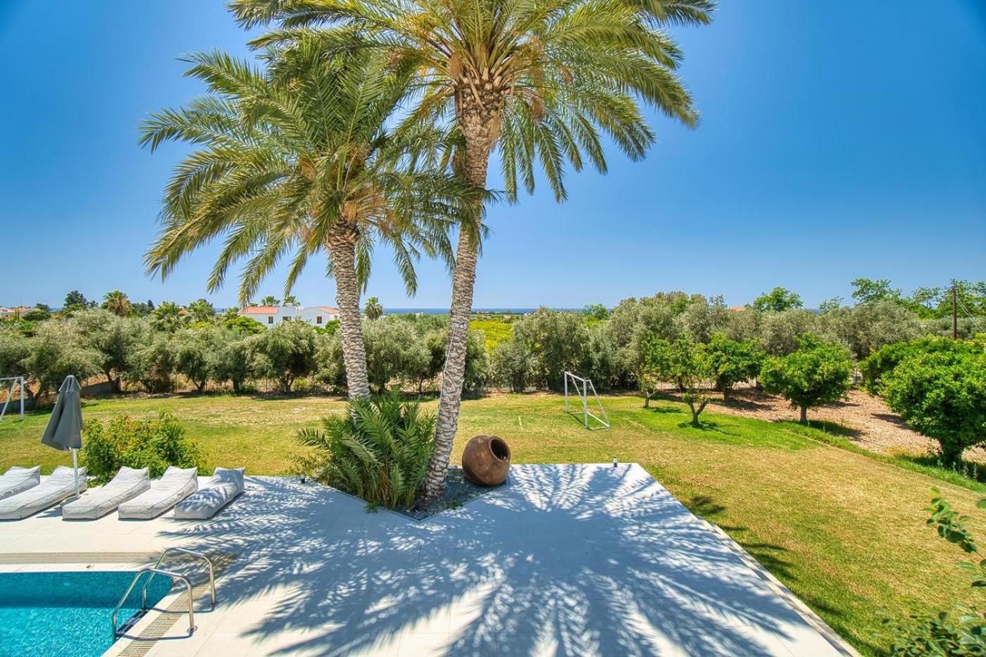 Luxury Oasis Villa