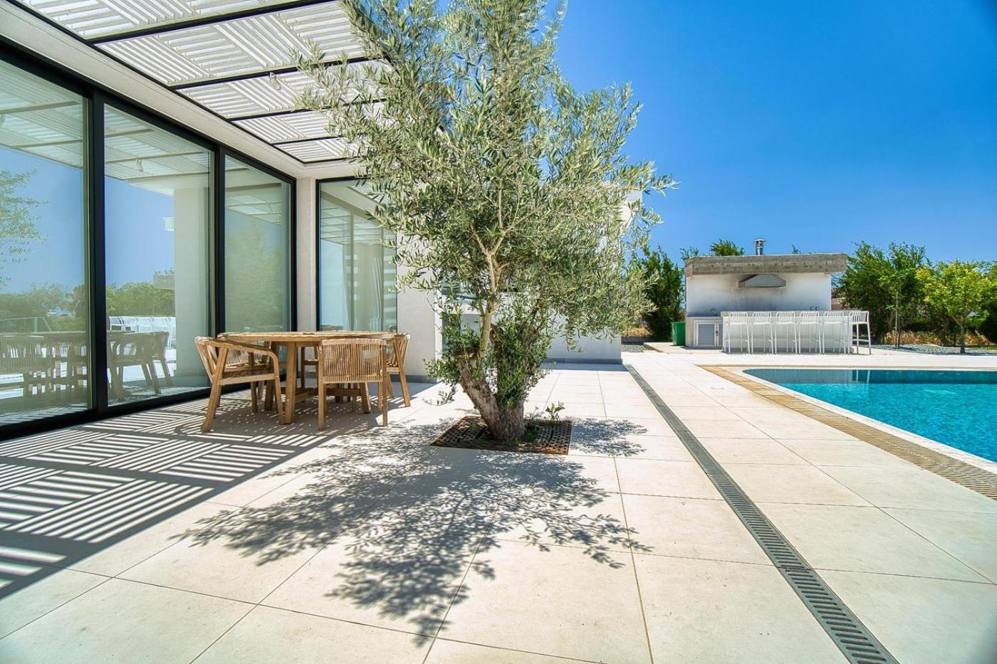 Luxury Oasis Villa