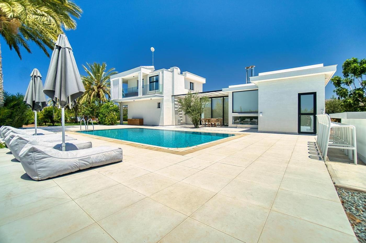 Luxury Oasis Villa
