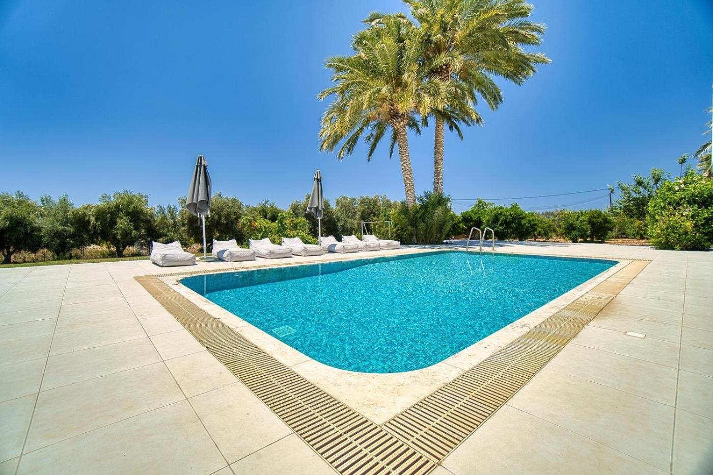 Luxury Oasis Villa
