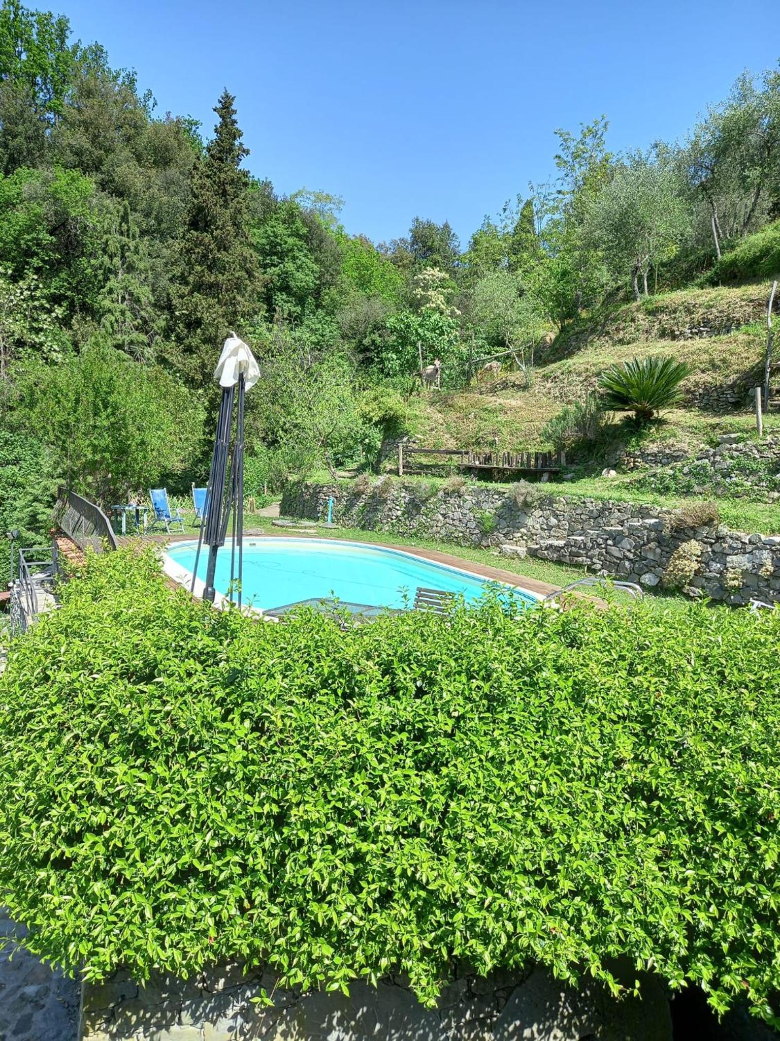 Il Borgo della Colomba view 3