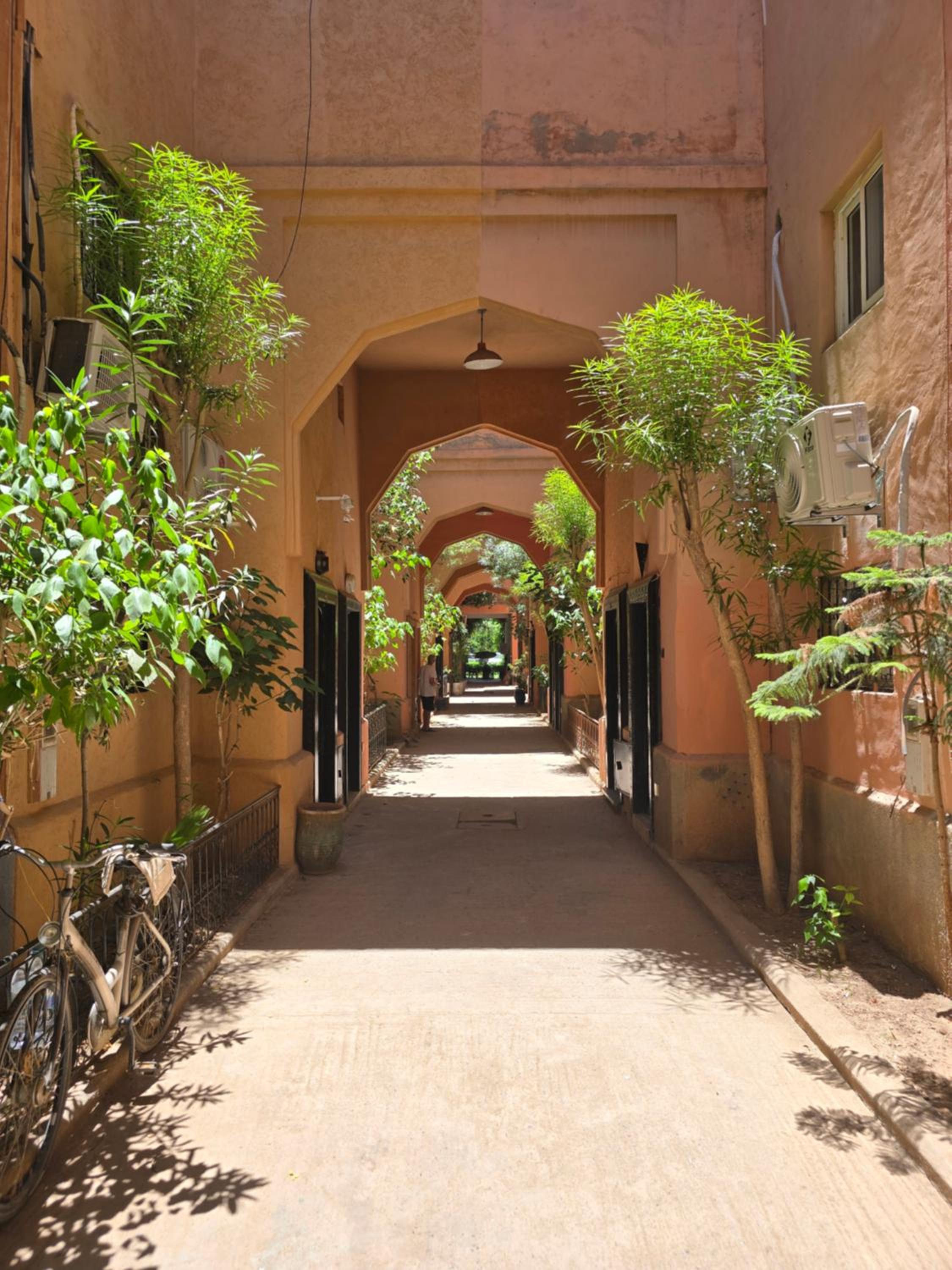 Riad Miralezia