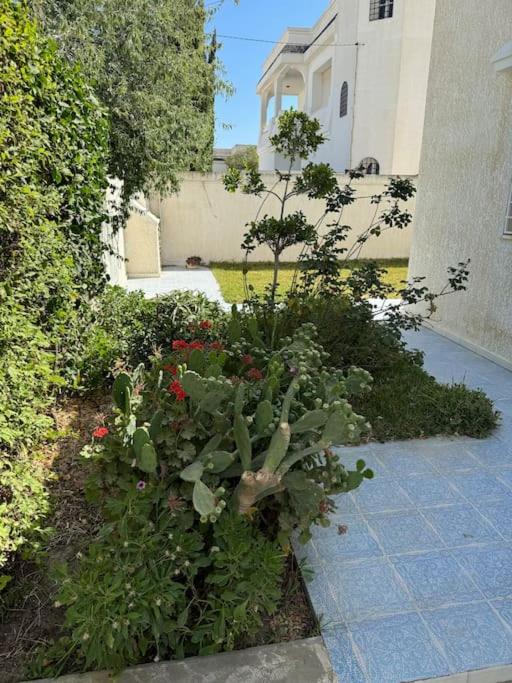Villa in Korba 100m to the beach