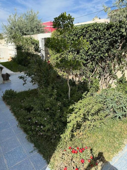 Villa in Korba 100m to the beach