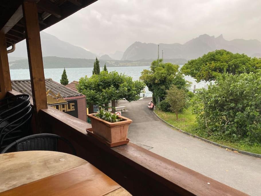 Ferientraum direkt am Thunersee