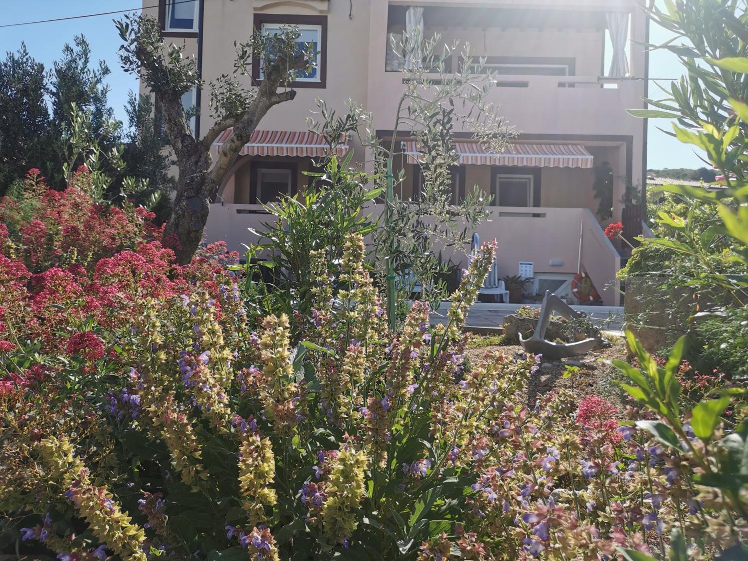 Apartman Franolic Punat view 3
