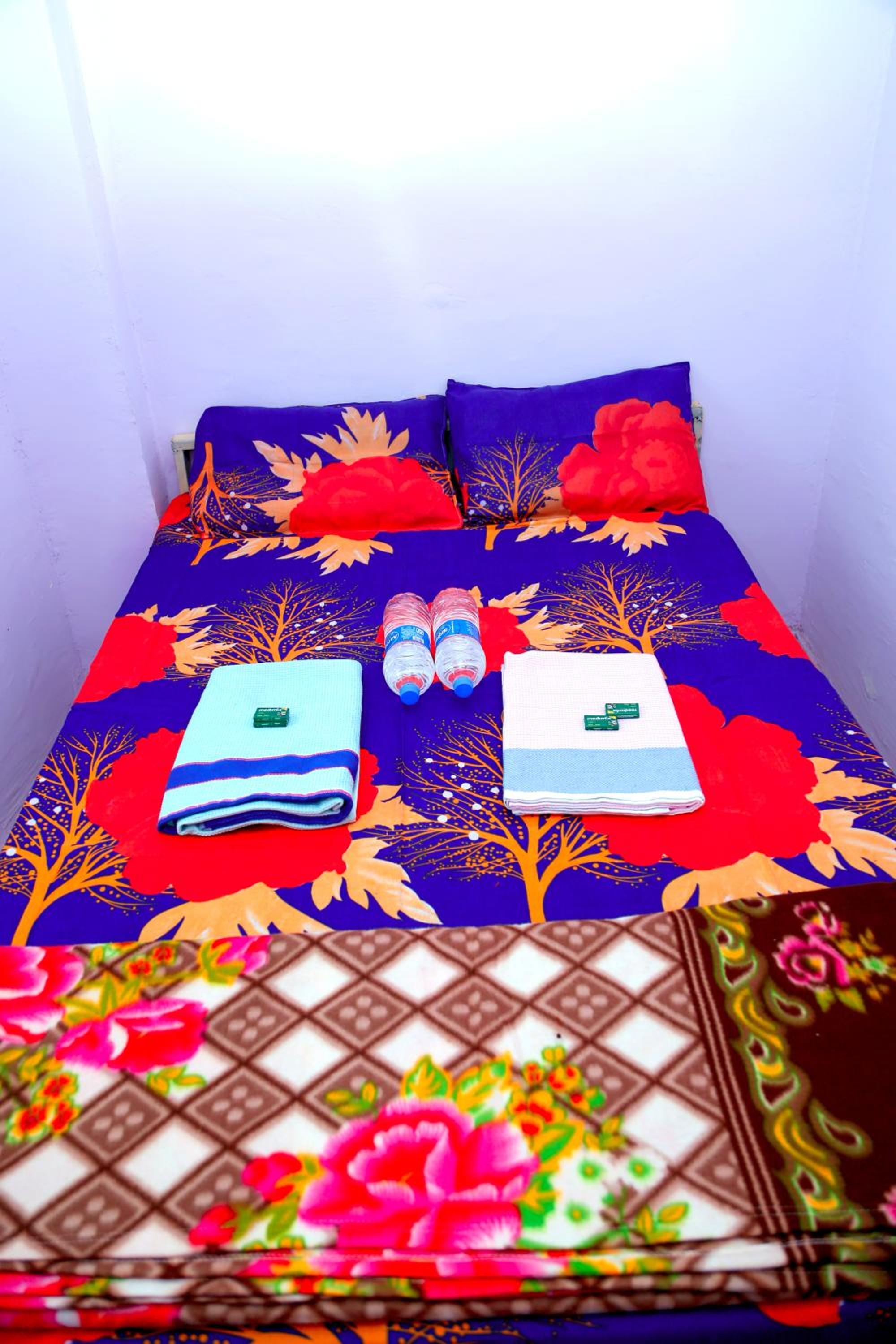 Maharaja lodging
