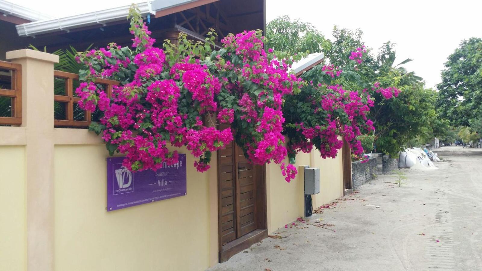 The Dreamscape Villa
