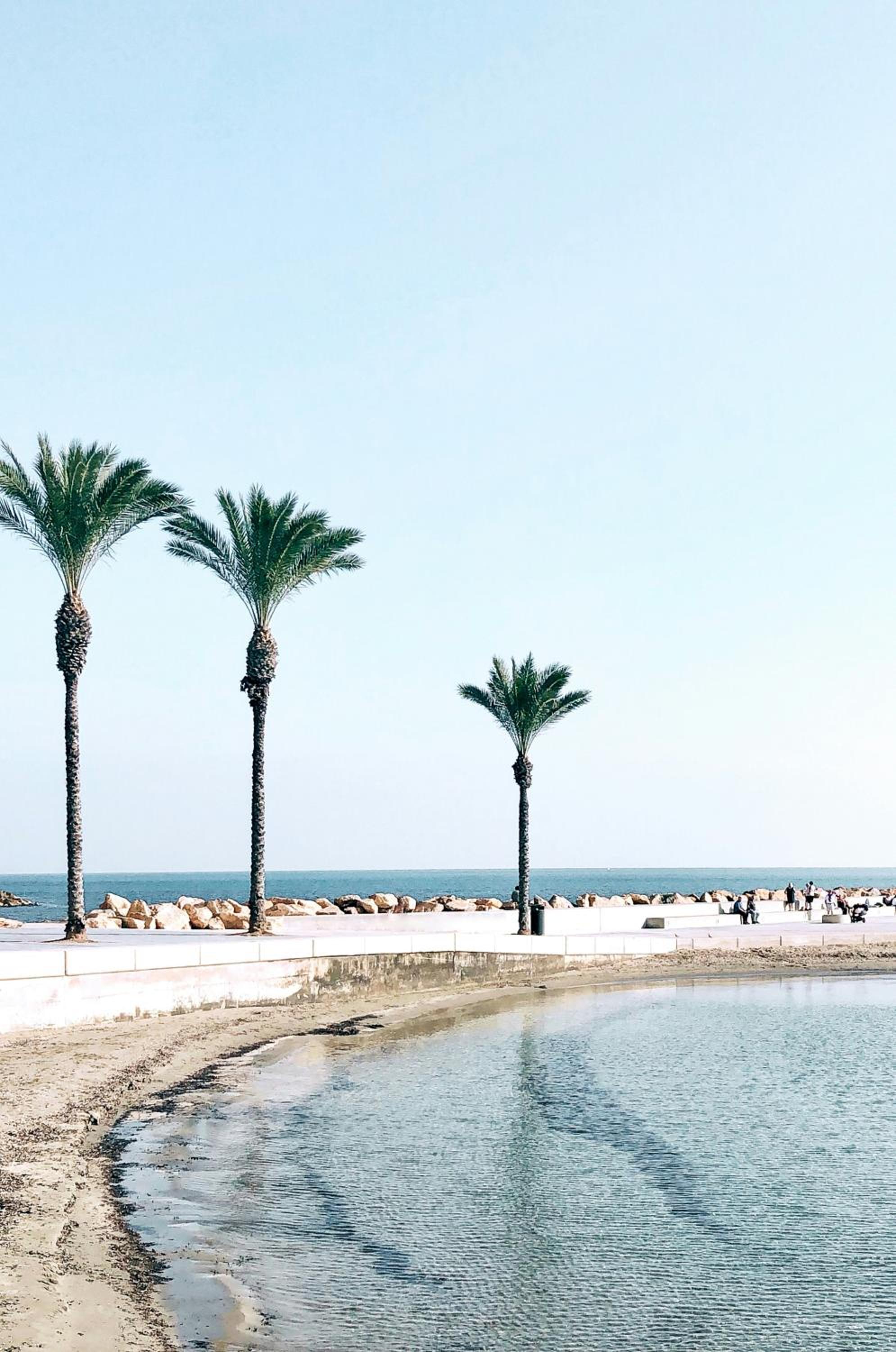 Torreblanca Home