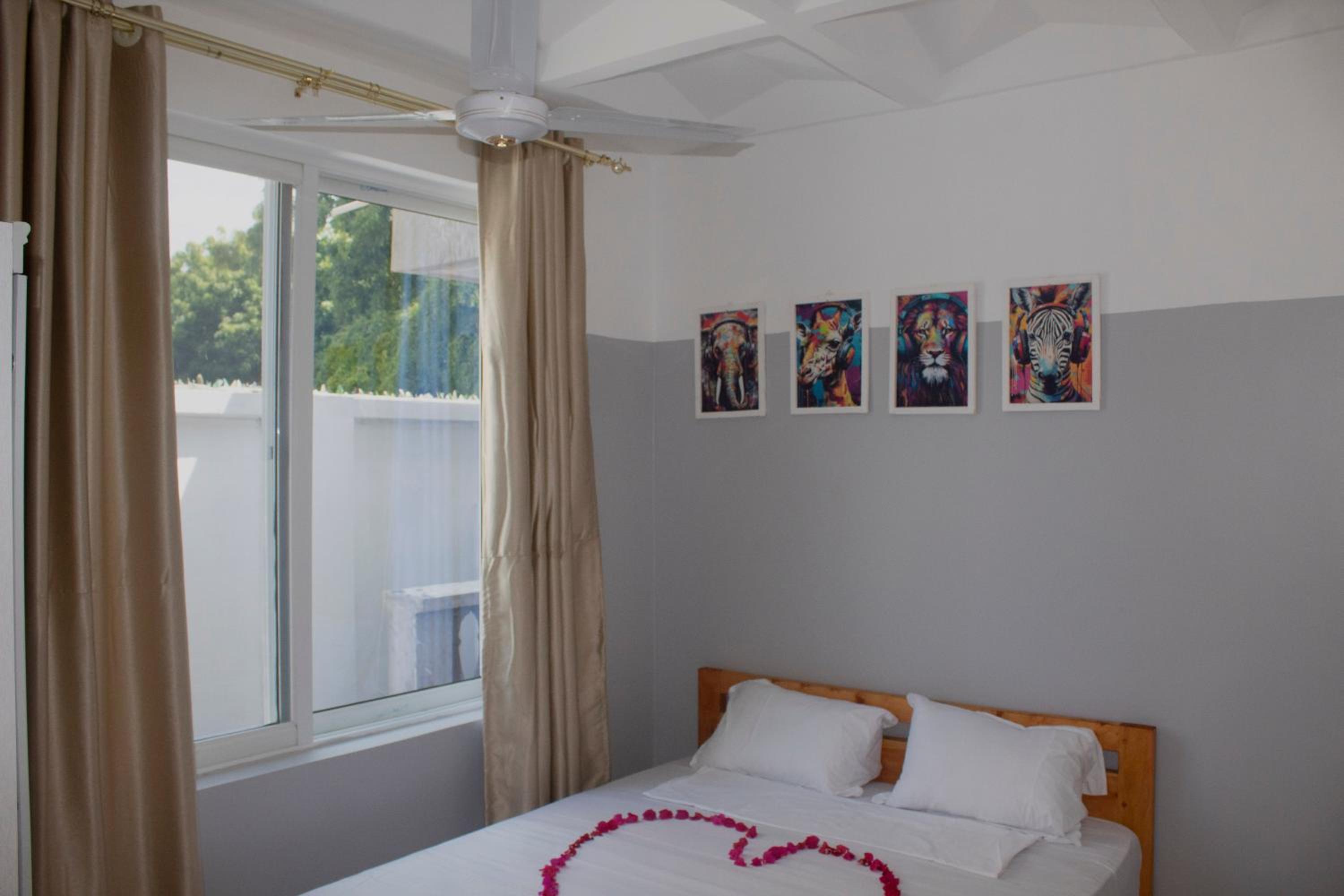 Canna Lily 5 min walk from bofa road, baobab resort
