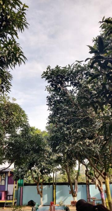 other