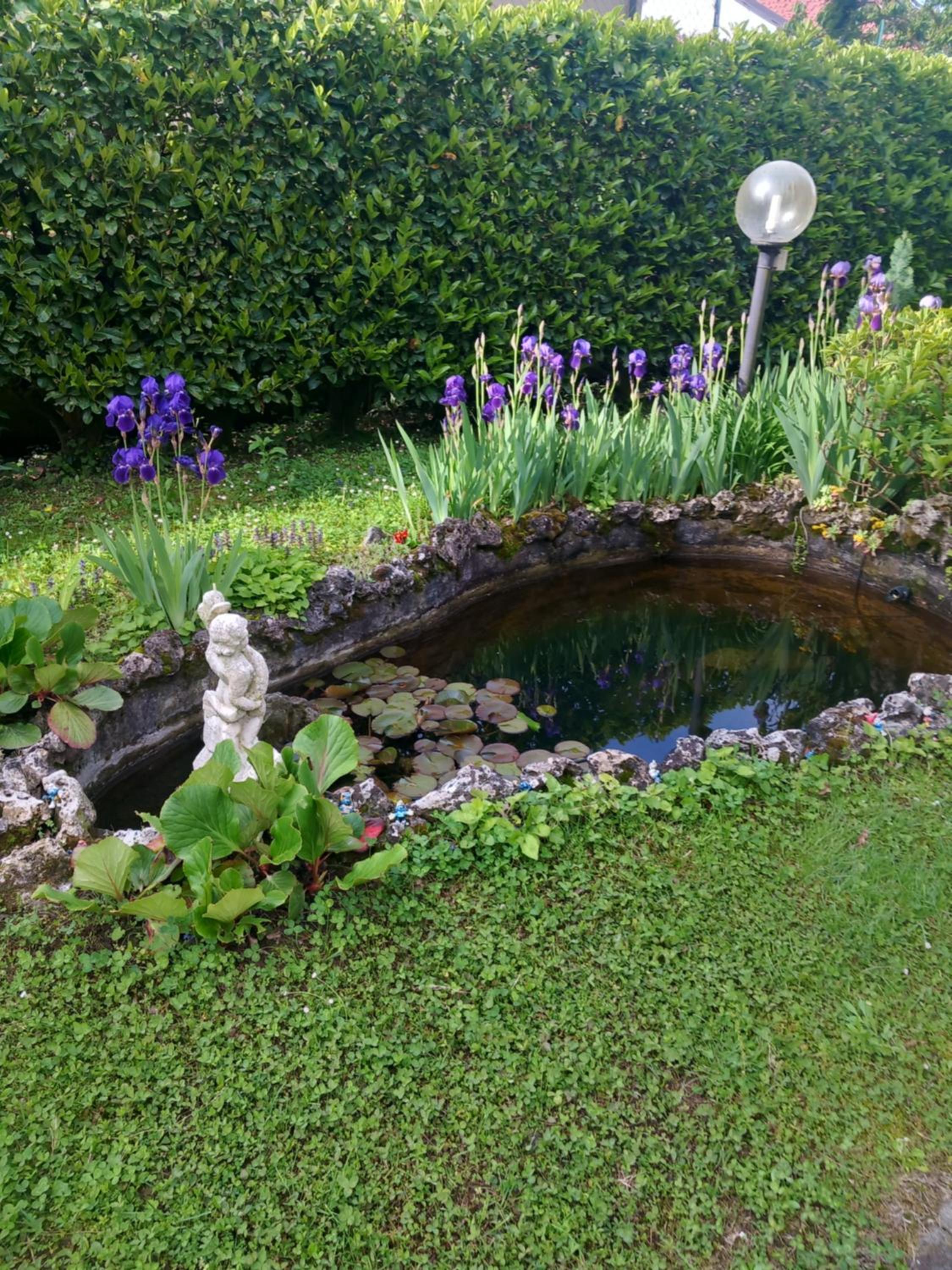 Photo 35