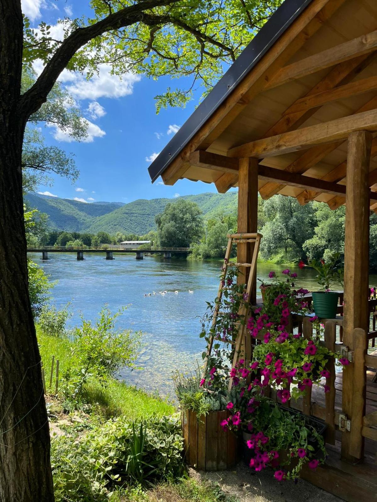 Vacation Home Pliva