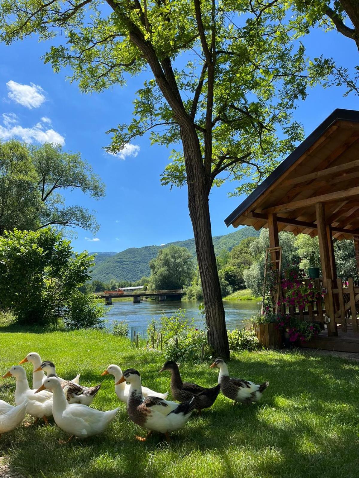 Vacation Home Pliva