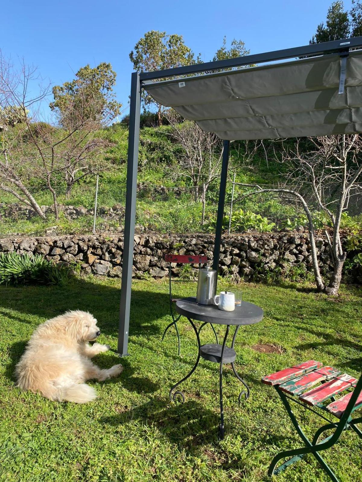 Casa Jardin Finca Maravilla