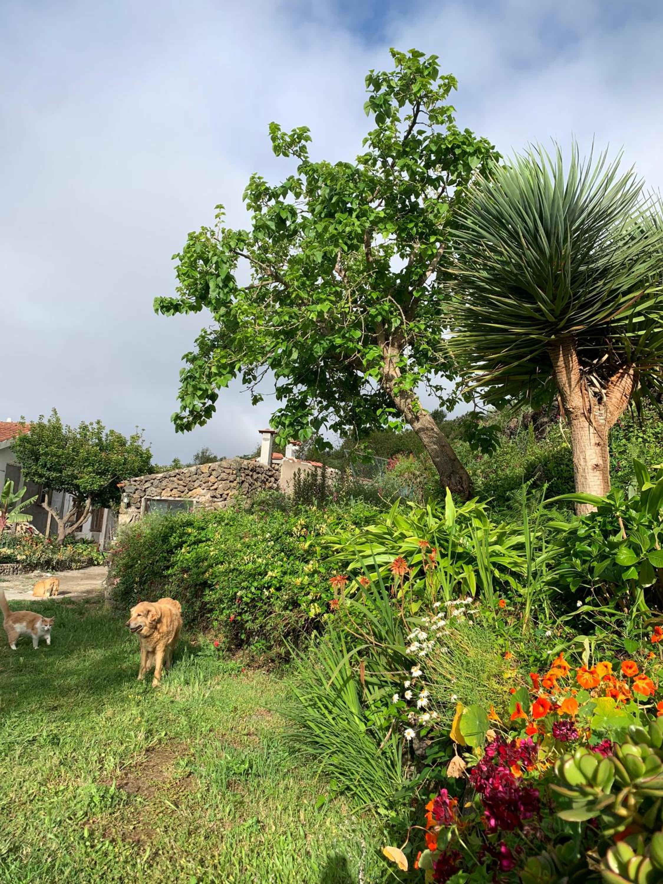Casa Jardin Finca Maravilla