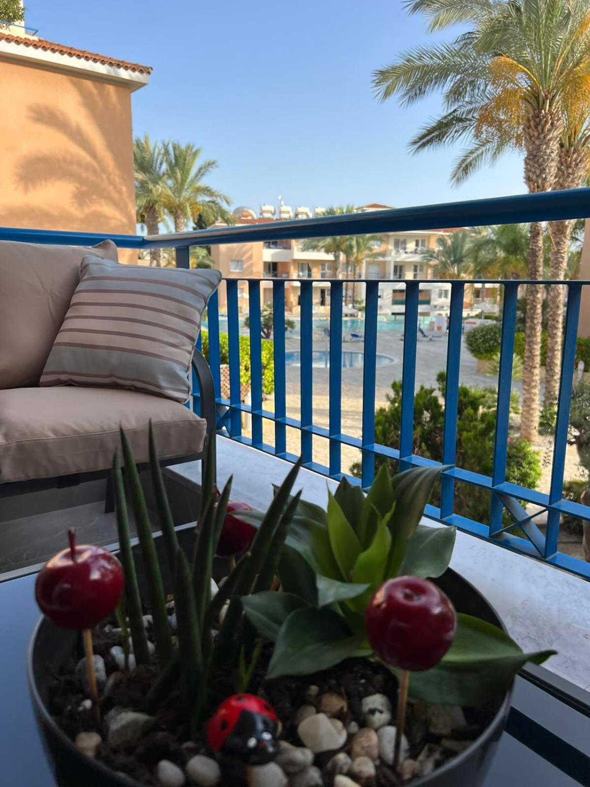 Elite Holiday Apartment