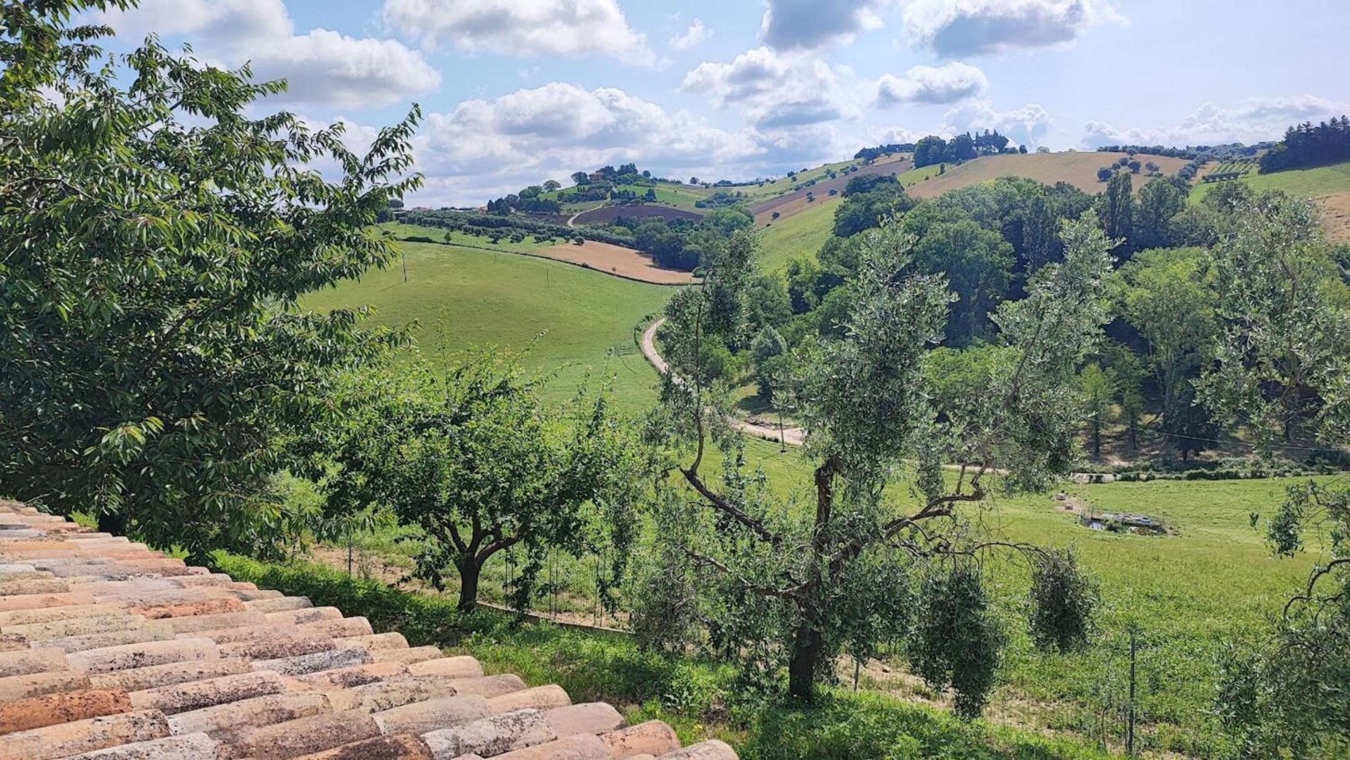 Italian Experience-Villa Luna