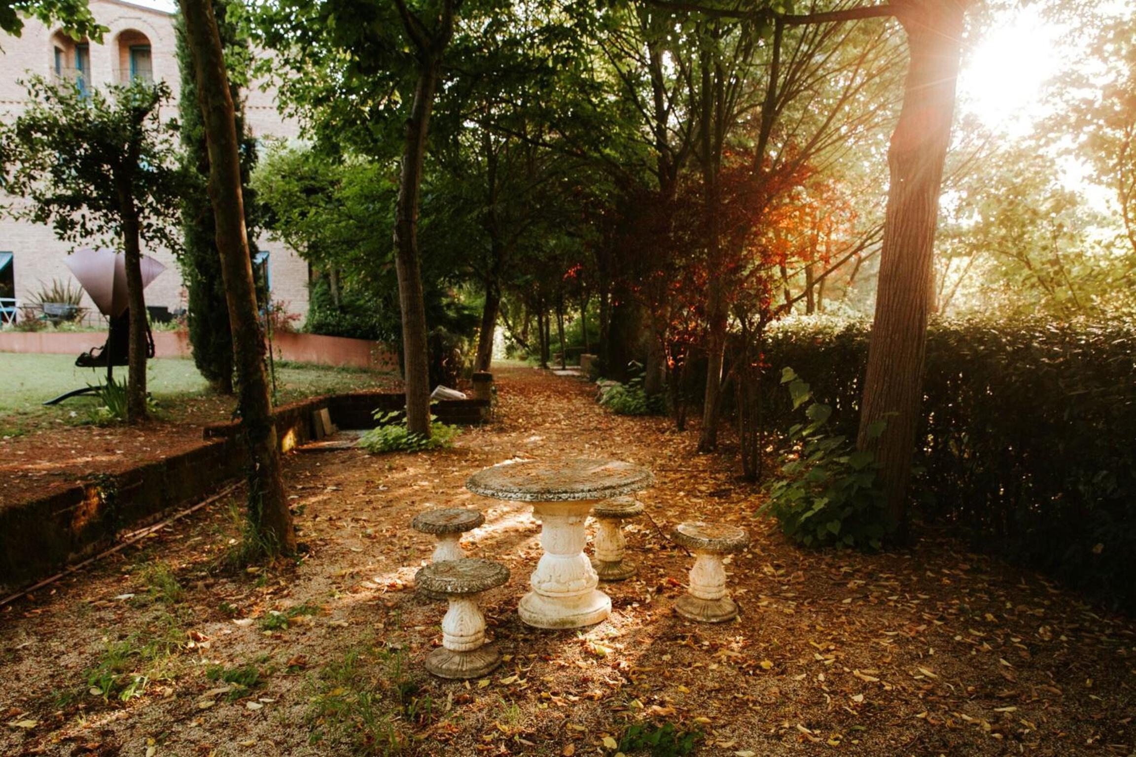 Photo 26