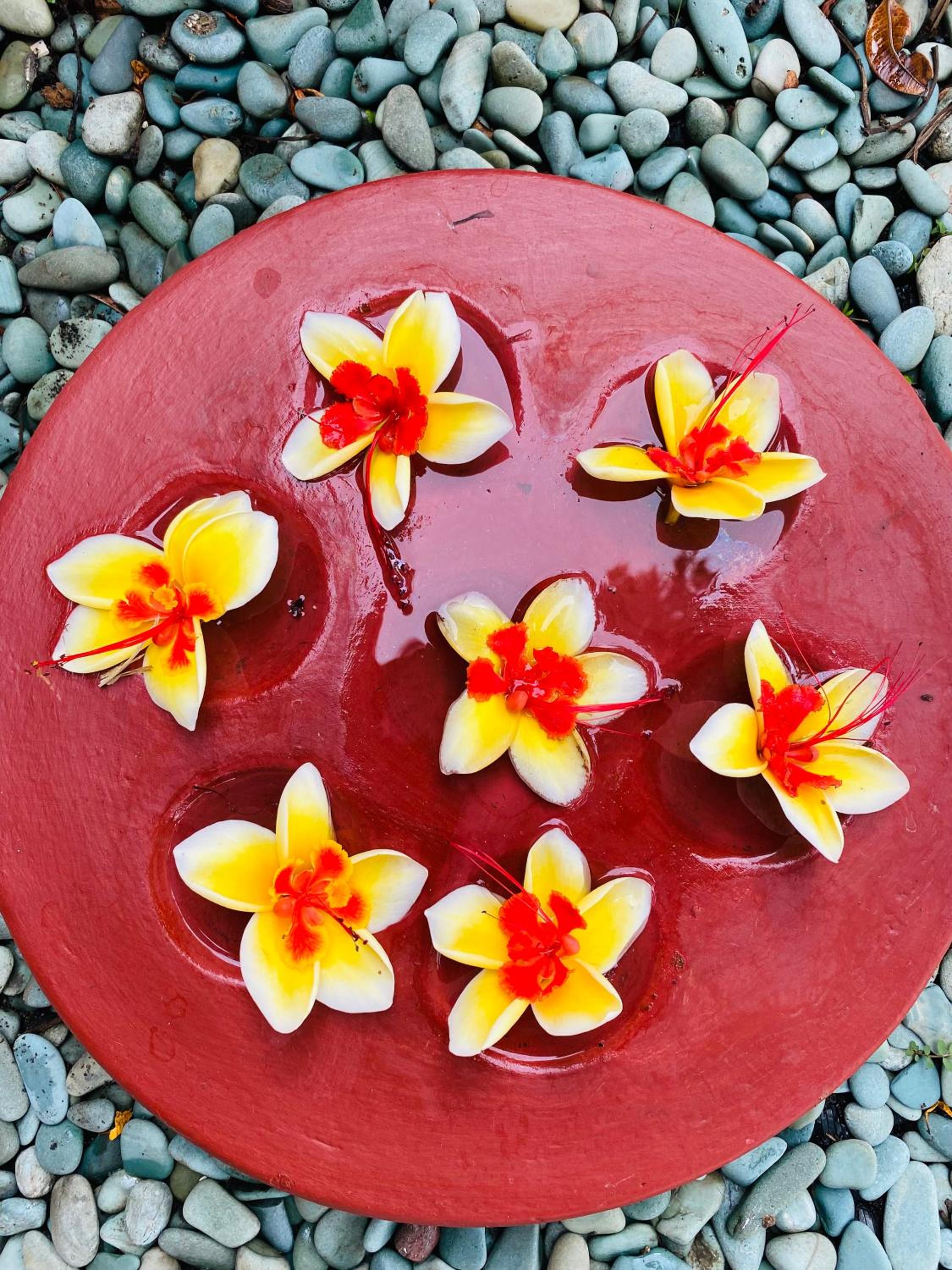 Villa Saffraan Bali