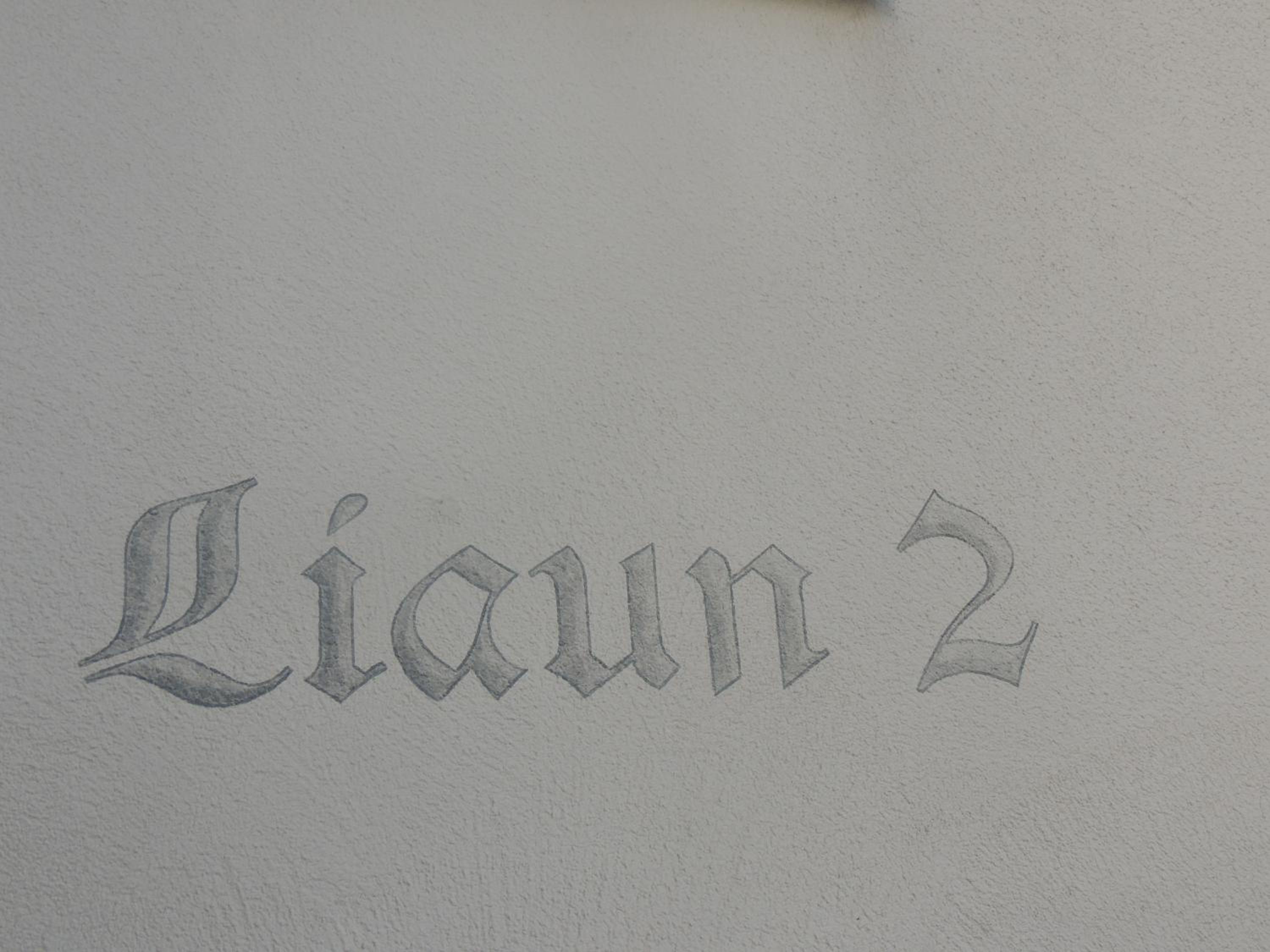 Haus Liaun 2 view 5