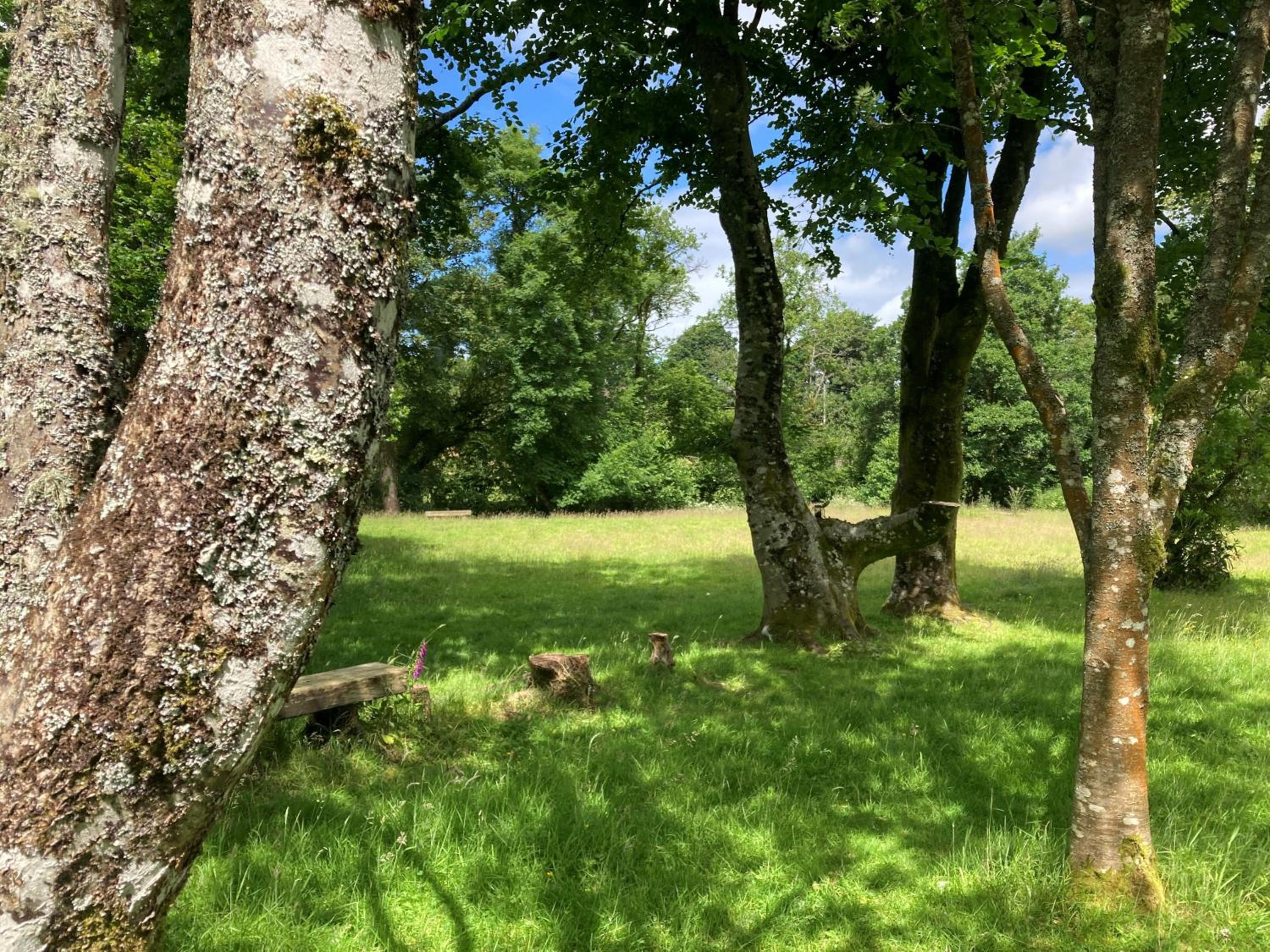 Serenity House Wales