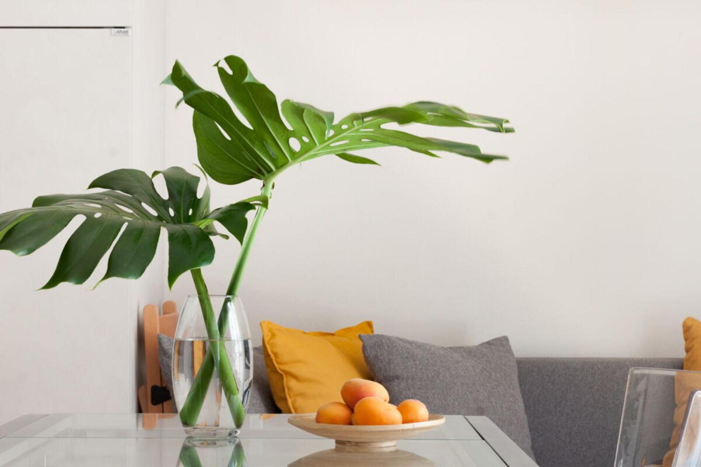 Italian Experience-Lungarno Suite Apartment