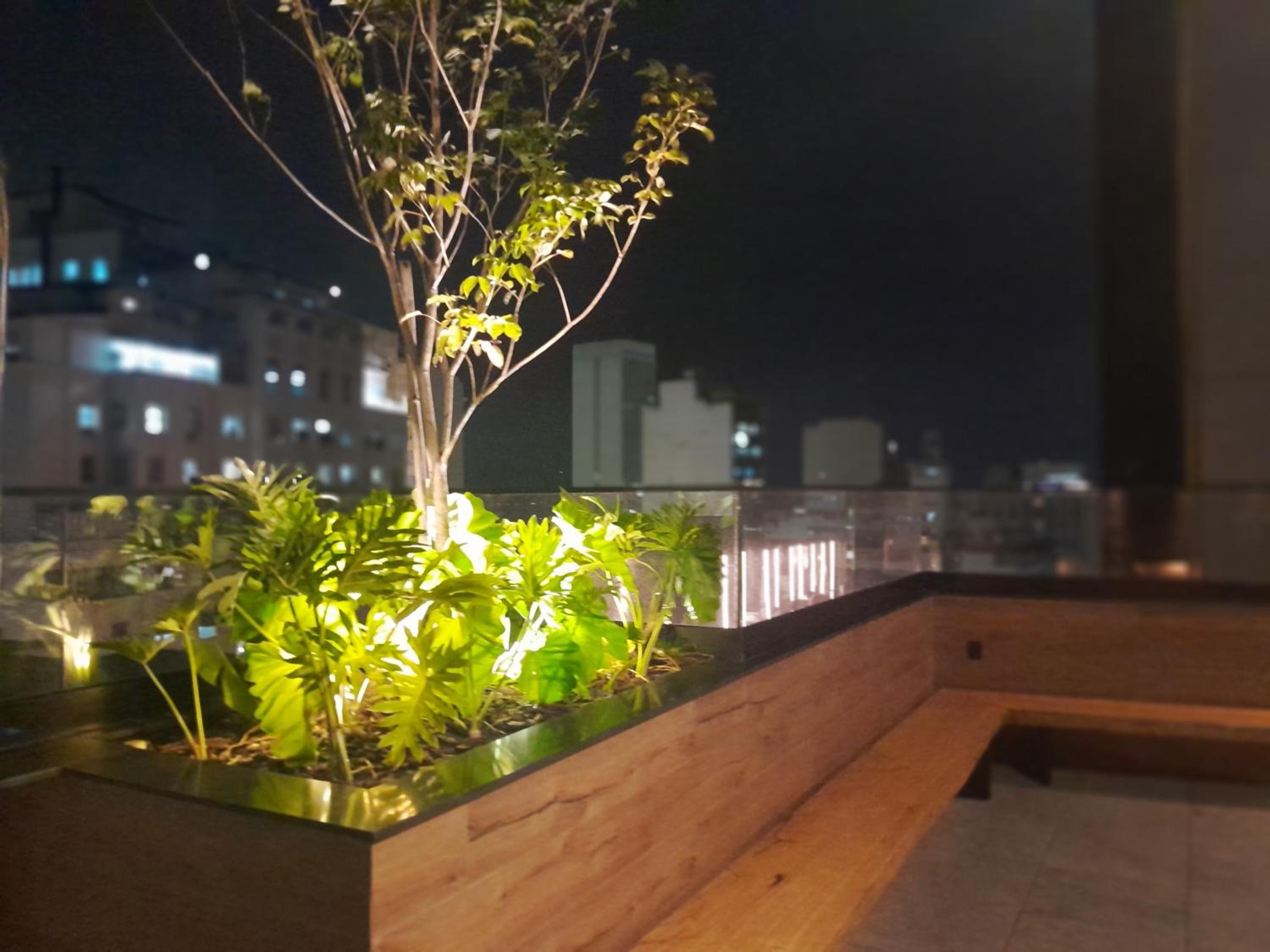 roof
