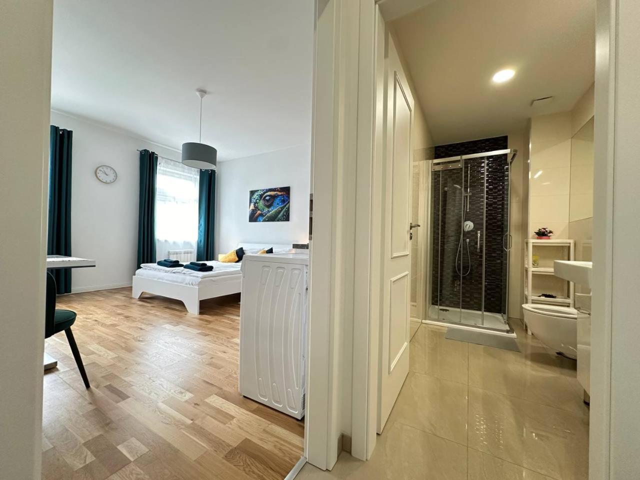 Nice 1 studio apartment in the center of Prague