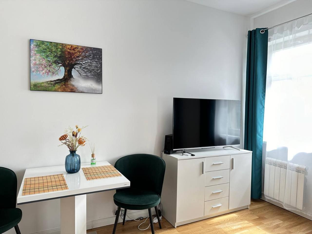 Nice 1 studio apartment in the center of Prague