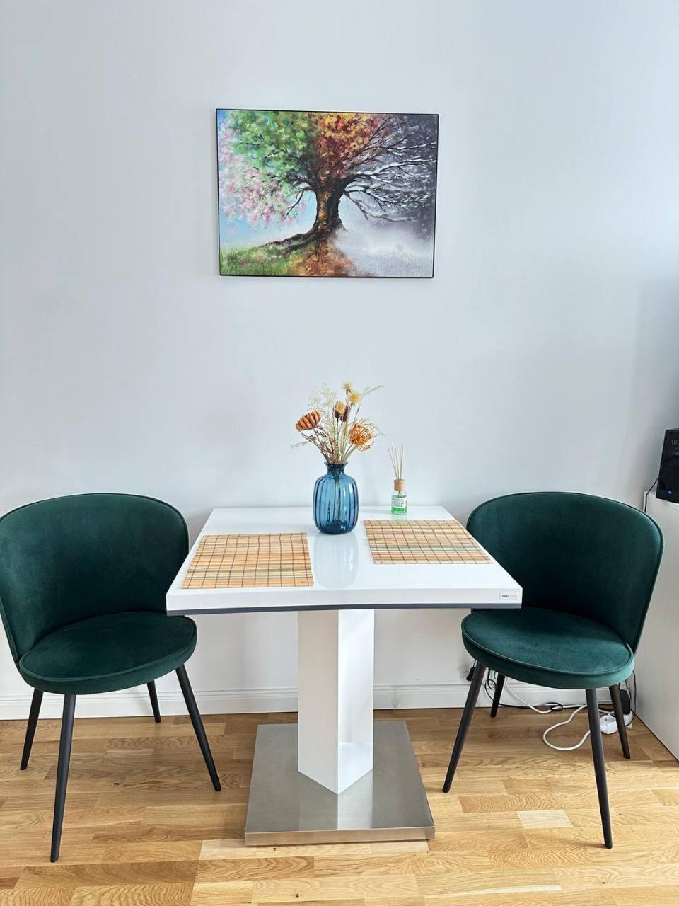 Nice 1 studio apartment in the center of Prague