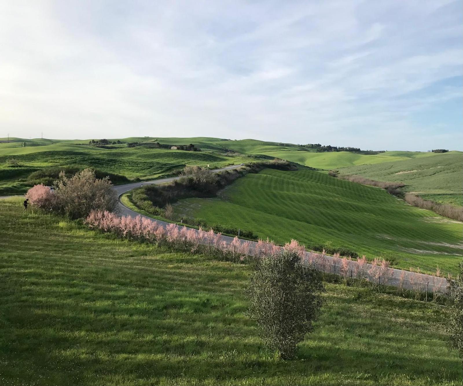 Villa Panorama