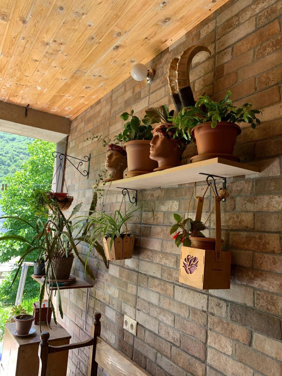 Mountain View Guesthouse