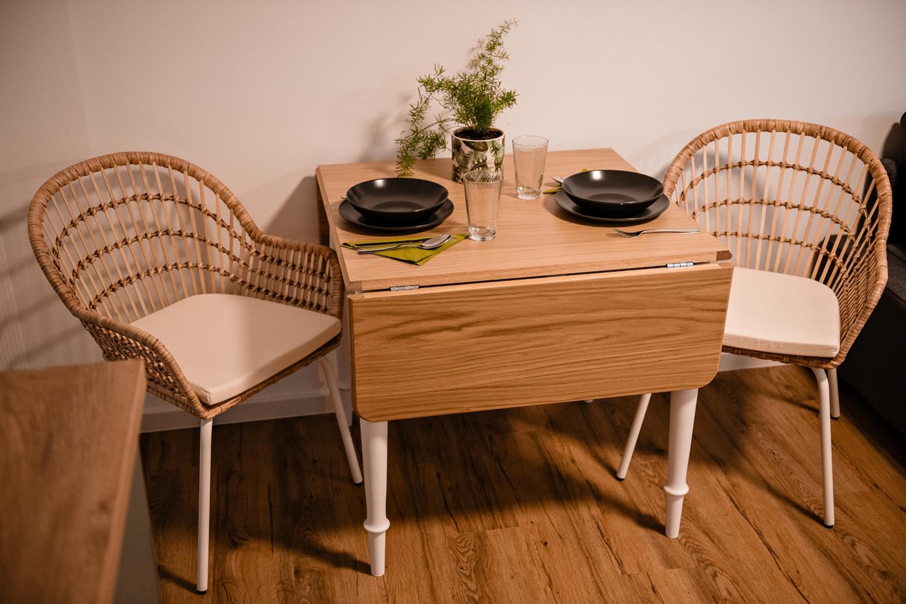 Apartment METULJ