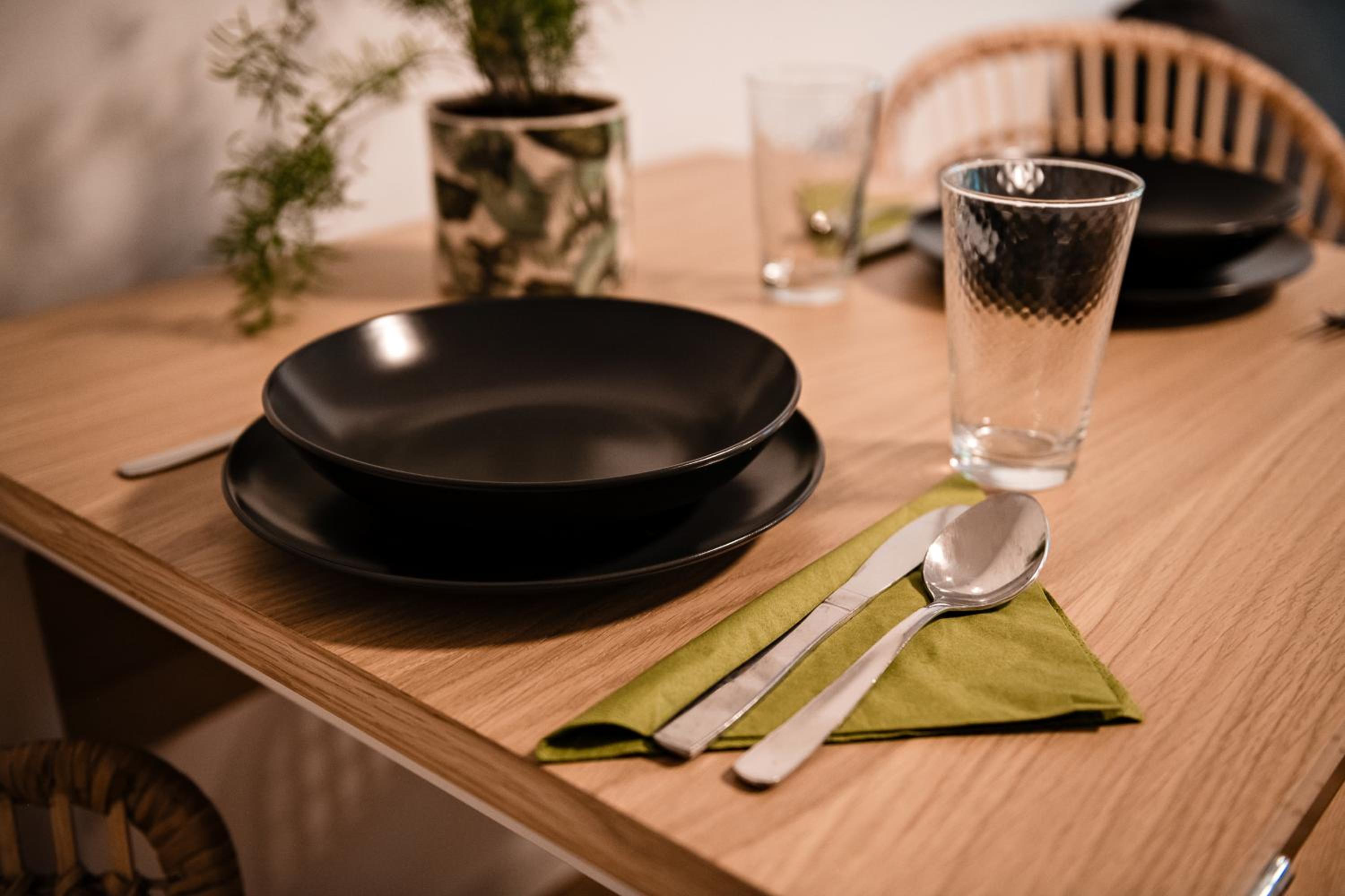 Apartment METULJ