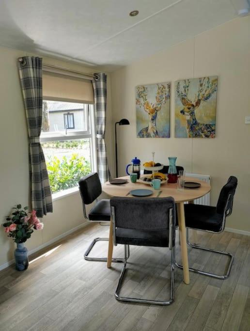 Veluws Chalet Ideaal voor wandelaars en fietsers! view 3