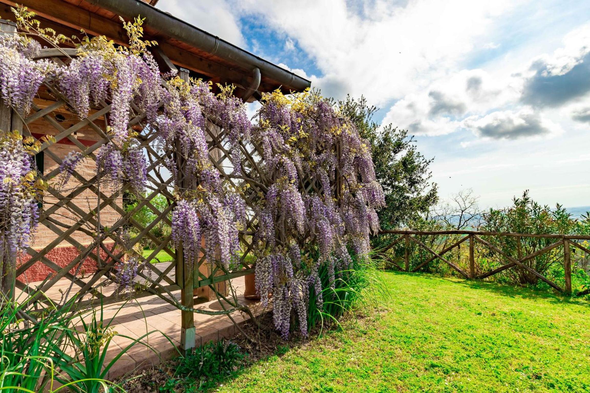 Italian Experience-Glicine Holiday Apartment view 4