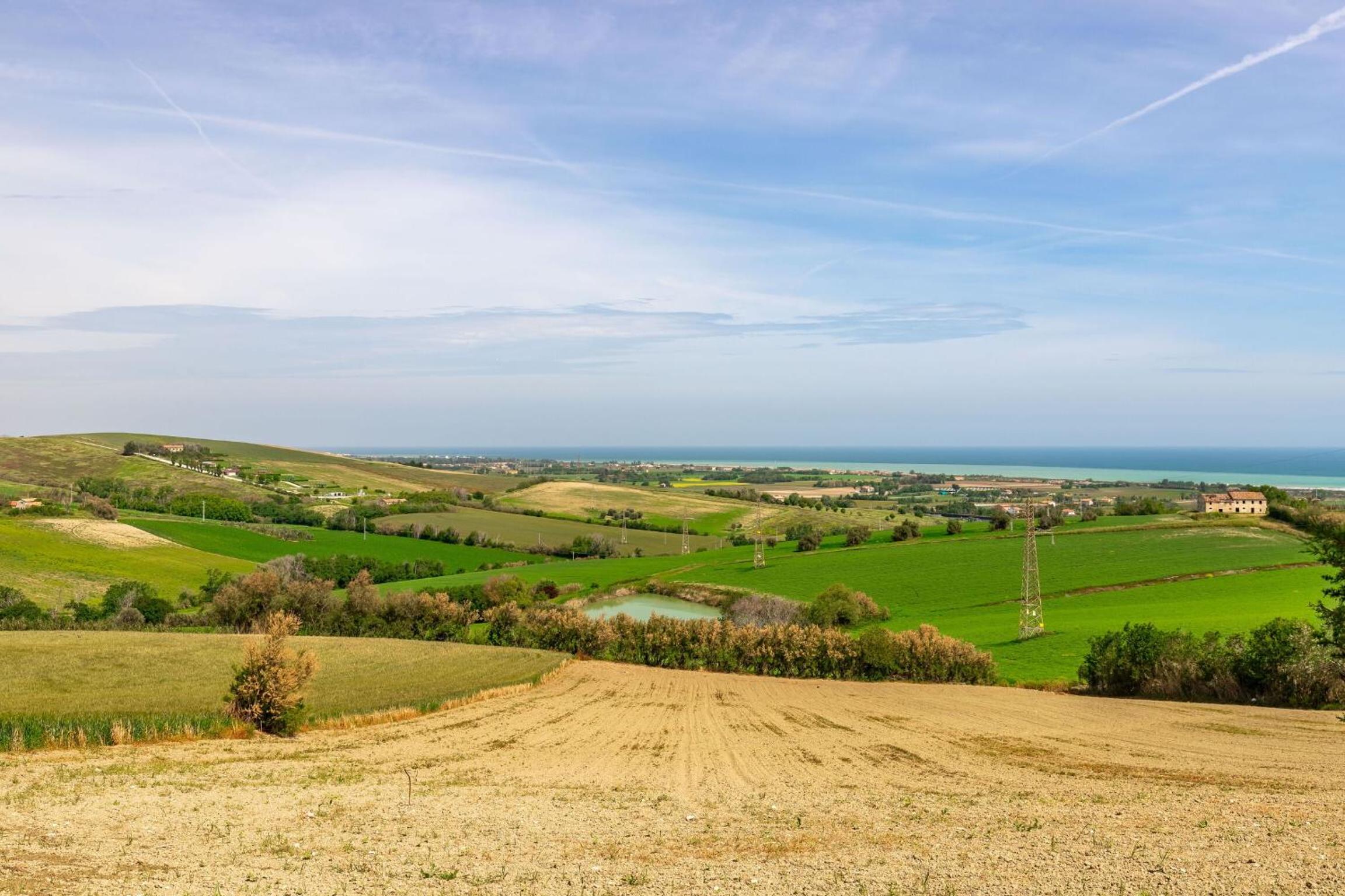 Italian Experience- Casa ColleMarino view 5