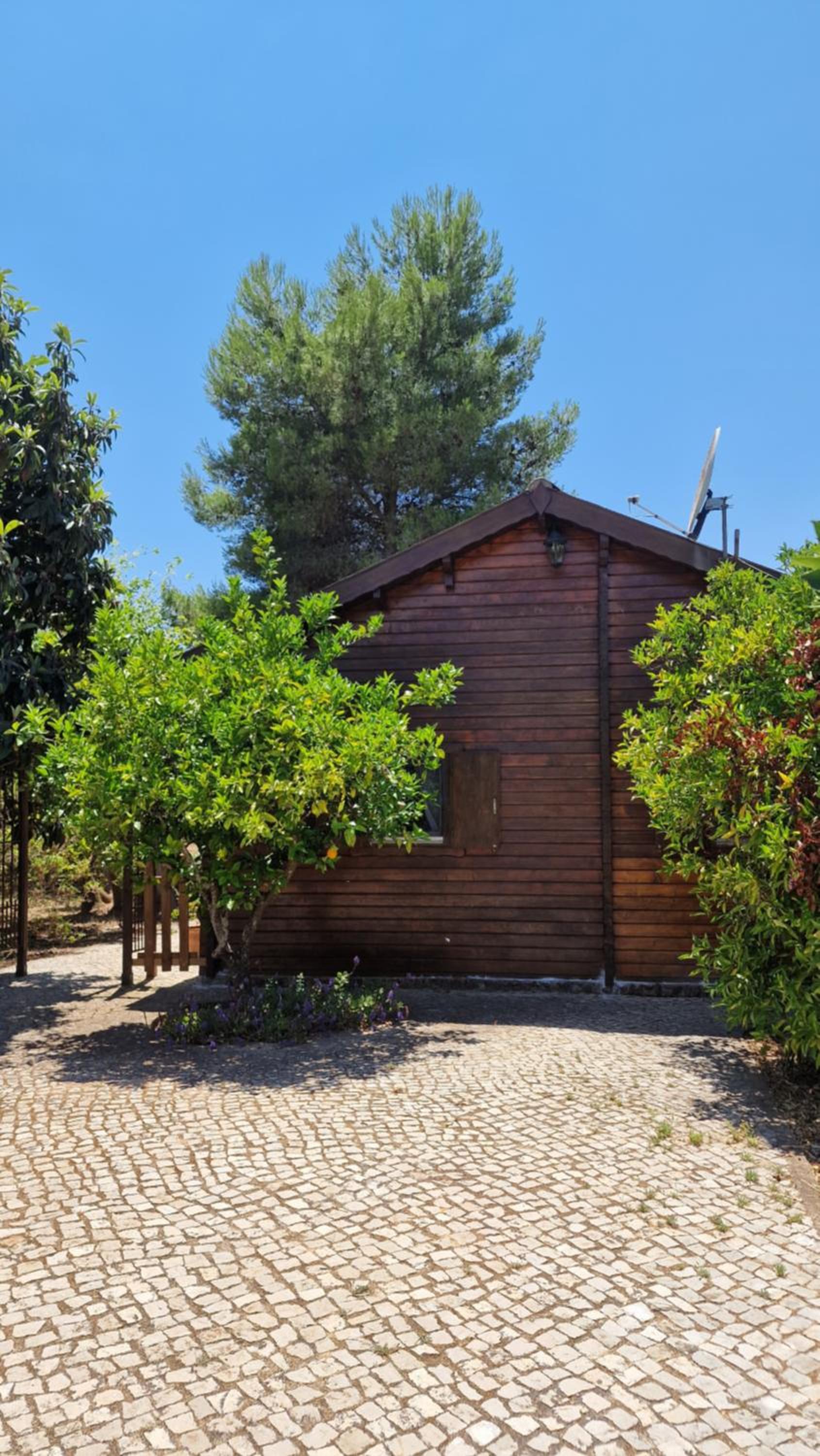 Chalet Villa Mosquito