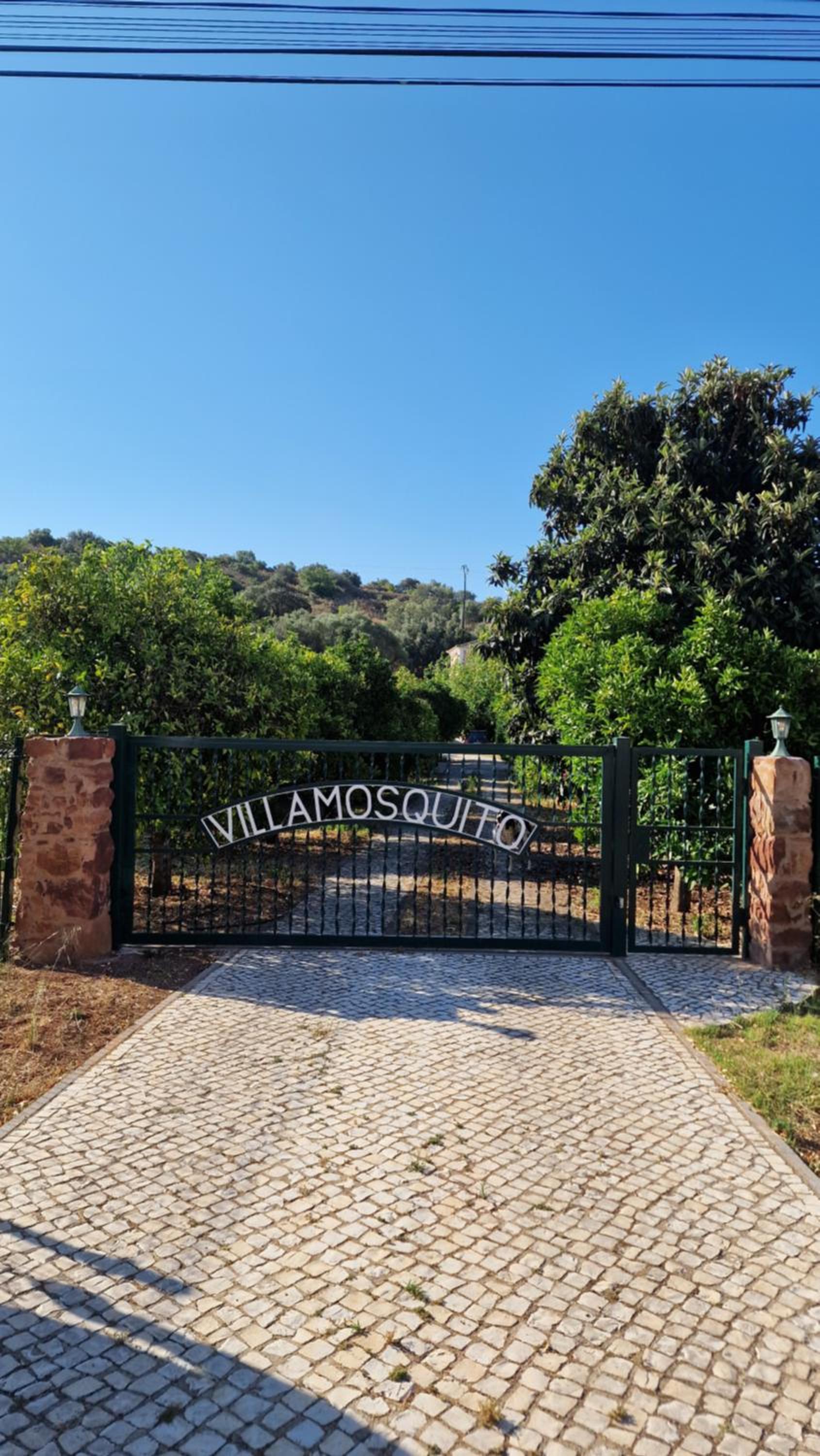 Chalet Villa Mosquito