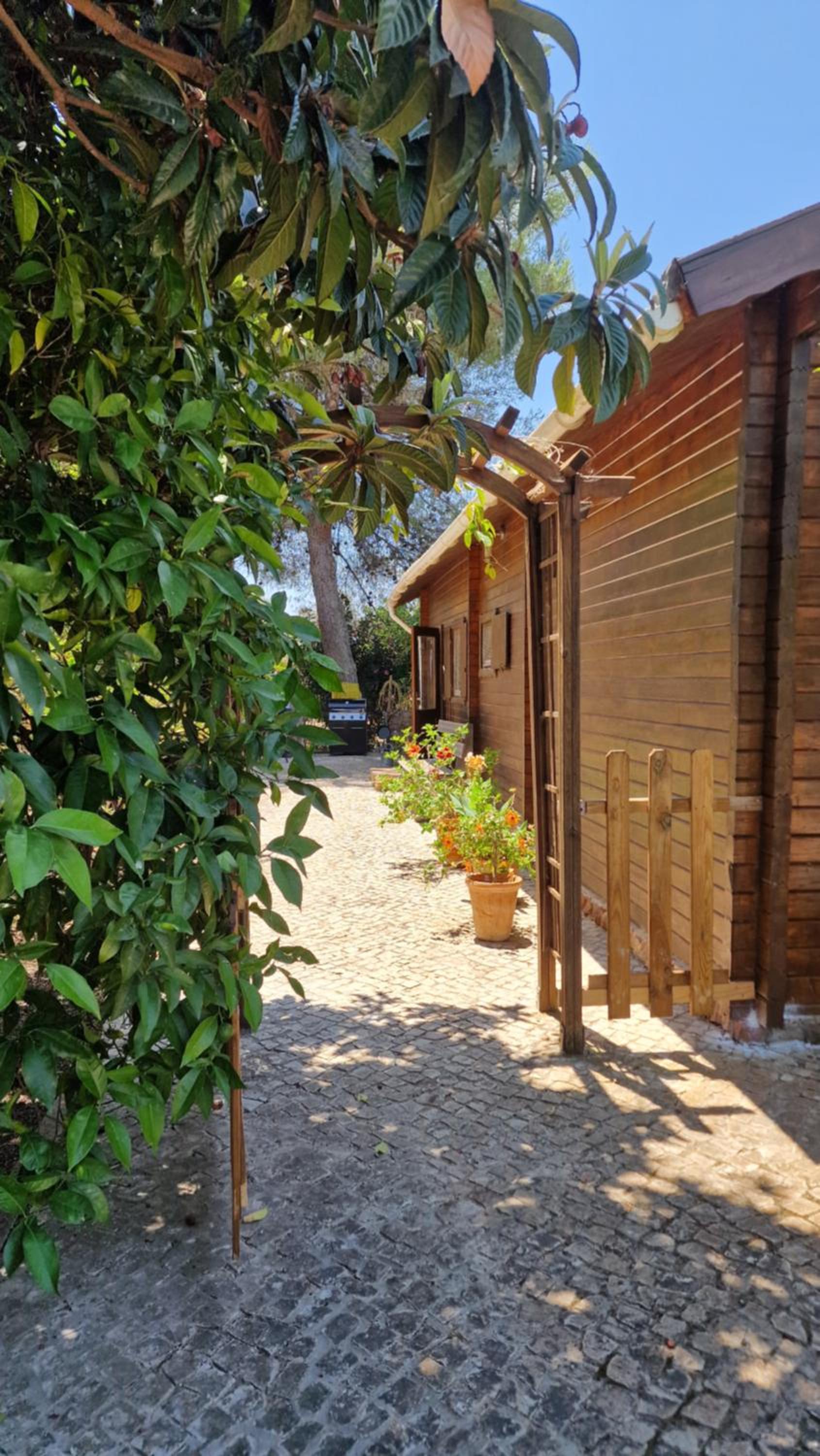 Chalet Villa Mosquito