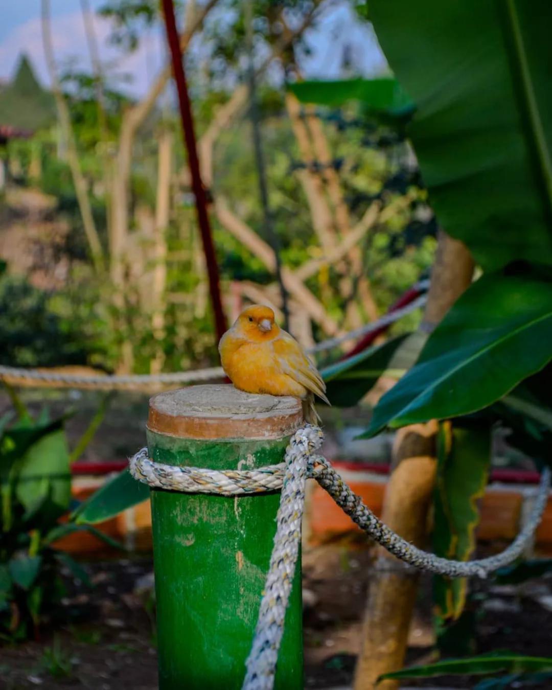 Sanagua Cascadas del Lavapatas